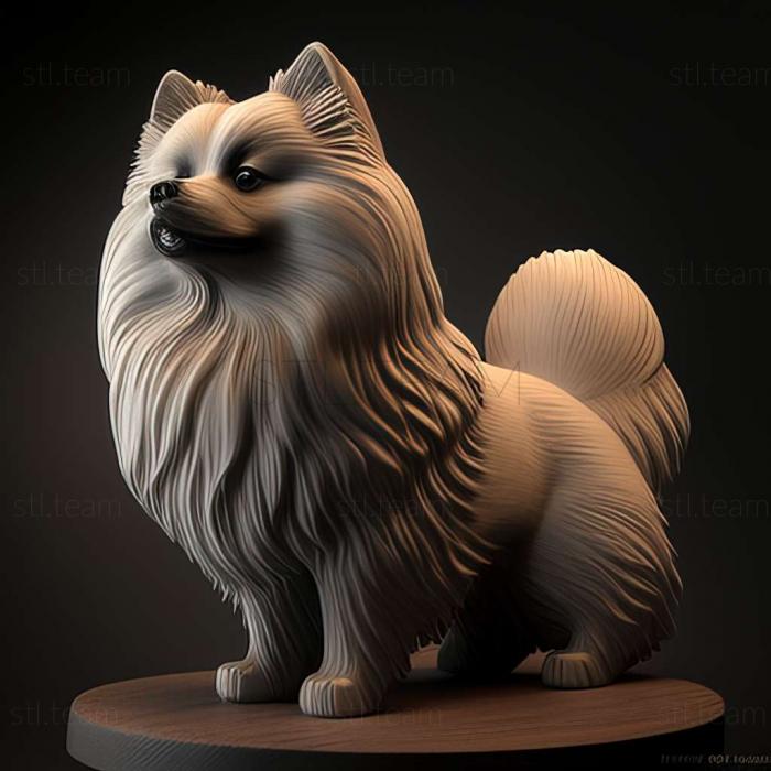 3D model Keeshond dog (STL)